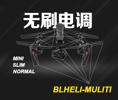 BLHELI-MULITI